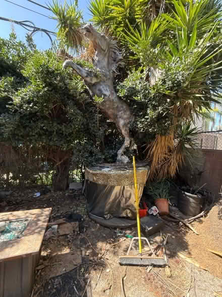 Photo of free 20 foot tall horse (hollywood) #1