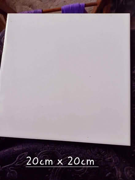 Photo of free 20 White and Lilac leaves and 12 White floor tiles (Ettingshall WV4) #3