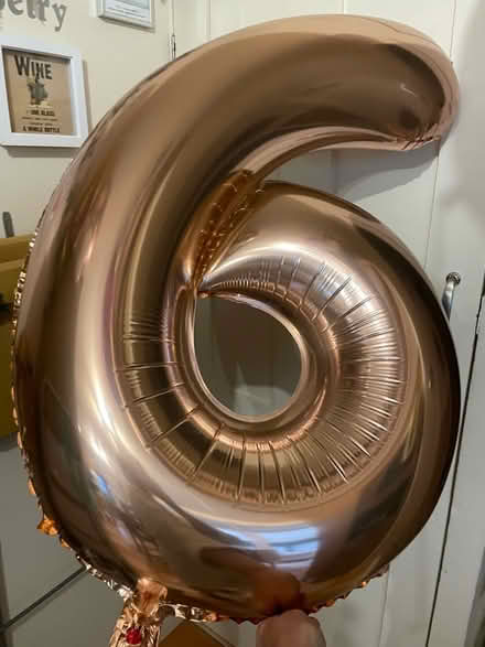 Photo of free Rose Gold Inflated Helium Balloons (CT11) #1