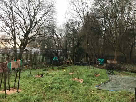 Photo of fruit trees/bushes (Goffs Oak EN7) #1