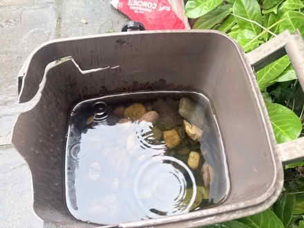 Photo of free Pebbles (clayhill CH64) #2