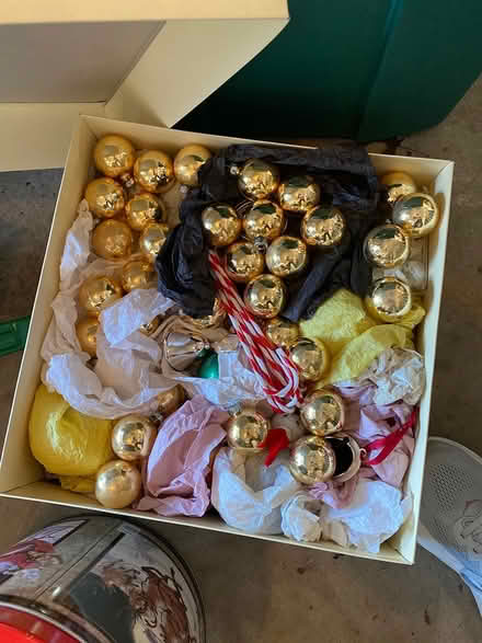 Photo of free Indoor Christmas Decorations (Easthampton) #3