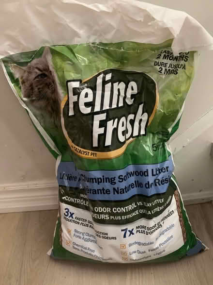 Photo of free Cat litter (wood shavings) (St. Clair & Victoria Park) #1