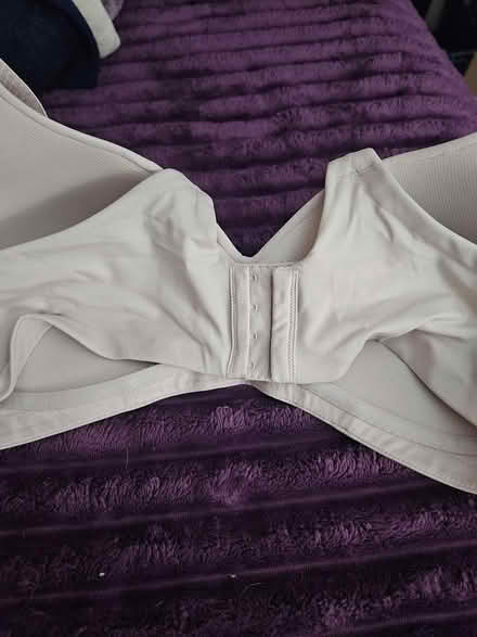 Photo of free New bra (Himes Ave area Frederick) #2