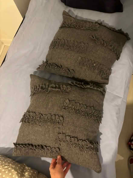 Photo of free Grey sofa cushions x2 (Bexleyheath DA7) #1