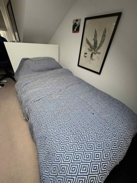 Photo of free IKEA Malm single bed (Mortlake SW14) #1