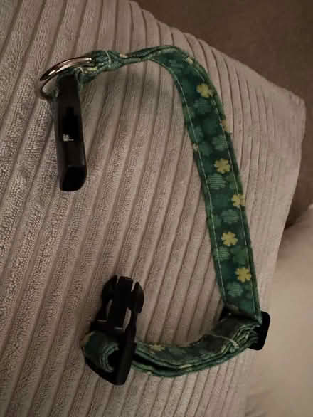 Photo of free St. Patrick's Day Dog Collar (Elmhurst by York High School) #1