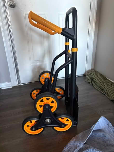 Photo of free Dolly (King Farm) #1