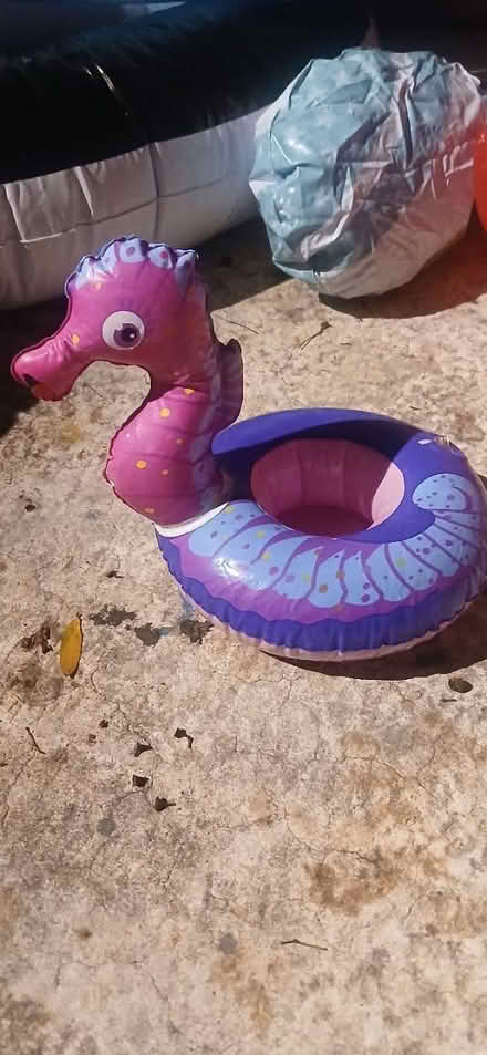 Photo of free Pool stuff (Longwood) #4