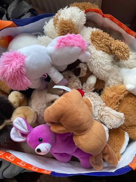 Photo of free Lots of teddies (SG17) #1