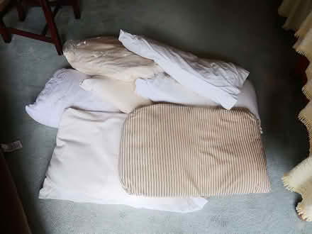 Photo of free Feather Pillows (BH13 7RG) #1