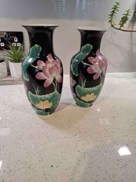 Photo of free Pair of Chinese vases (Woolston WA1) #1