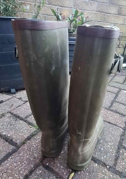 Photo of free Size 8 wellies (Baxenden BB5) #2