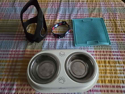 Photo of free Puppy things (Melksham SN12) #1