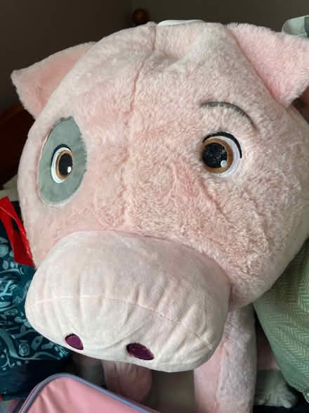 Photo of free Lots of teddies (SG17) #2