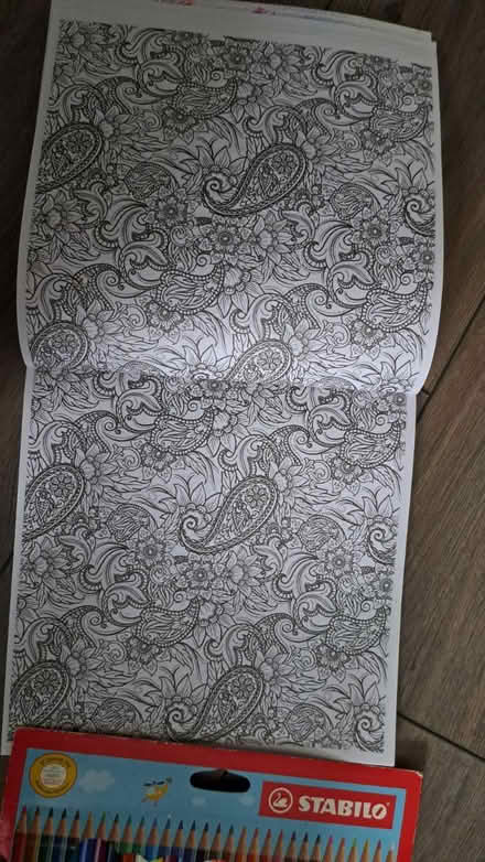 Photo of free Colouring book & colouring pens (S41. Chesterfield) #2