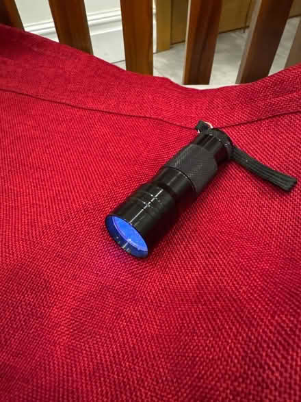 Photo of free UV torch 🔦 (Hampstead, mw3) #1