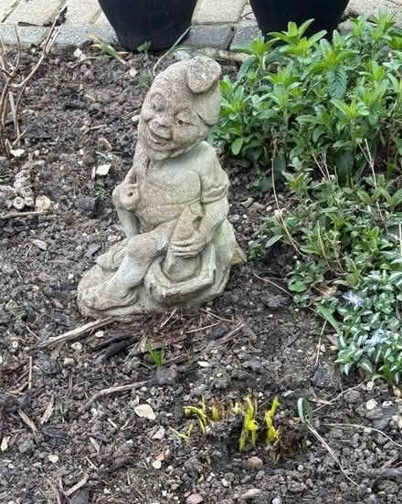 Photo of free Garden Ornaments Bundle (Harlington DN5) #2