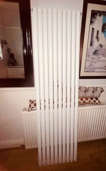Photo of free Tall radiator Collection today only (Thornton Heath CR4) #1