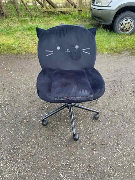 Photo of free Cat chair (Golborne) #1