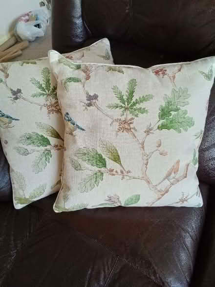 Photo of free A pair of Dunelm cushions (Brickhill MK41) #1