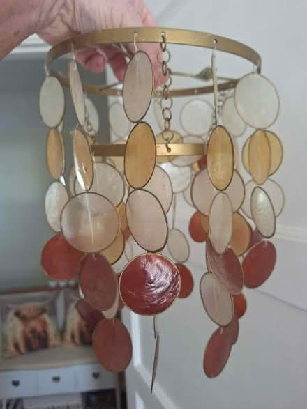 Photo of free Lampshade (Forestgreen) #1