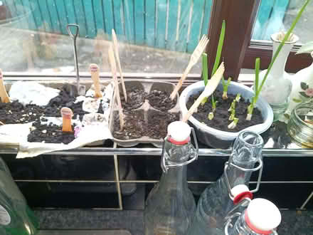 Photo of Gardening Tools (Dunmurry BT10) #1