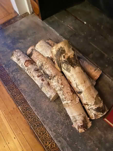 Photo of free Burch logs (Lowell and highland) #1