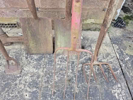 Photo of free Assorted garden equipment / tools (Northfield B31) #3