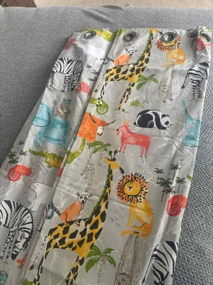 Photo of free Kids pair of curtains (Belfast) #1