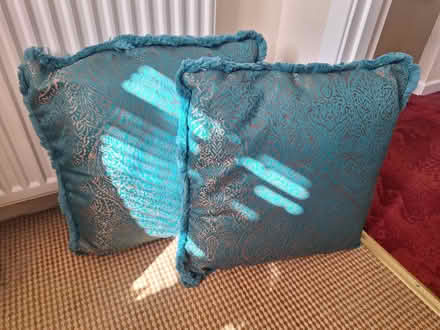 Photo of free Pair of cushions (Forestgreen) #1