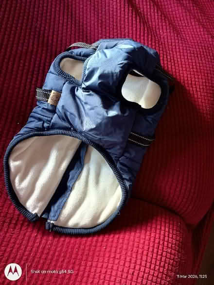 Photo of free Dog jacket (Drylaw EH4) #2
