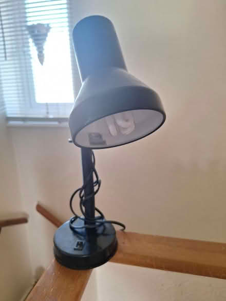 Photo of free Desk lamp (Forestgreen) #1