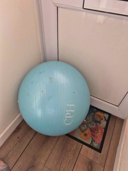 Photo of free Balance/Exercise ball (Horsham Town area) #2
