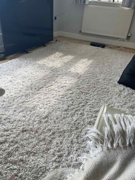 Photo of free Ikea Thick Rug (Langney BN23) #1