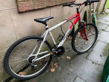 Photo of free Gents bike (Penrith CA11) #1