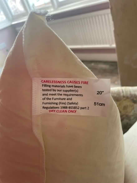 Photo of free Brand new feather cushions (Caversham RG4) #2