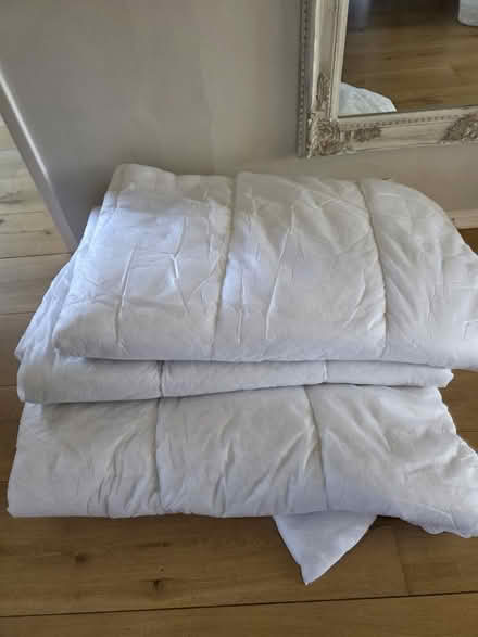 Photo of free 3 x single quilts. Unused (PR4 0BH) #1