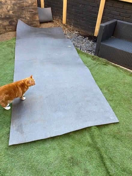 Photo of free Astro turf and underlay matting (Seven Dials BN3) #3