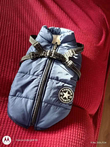 Photo of free Dog jacket (Drylaw EH4) #1