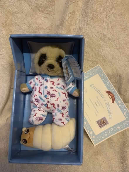 Photo of free 3 Meerkat soft toys (Heddon on the Wall) #3