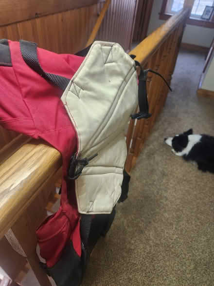 Photo of free Dog back pack Wenaha (virgil) #3