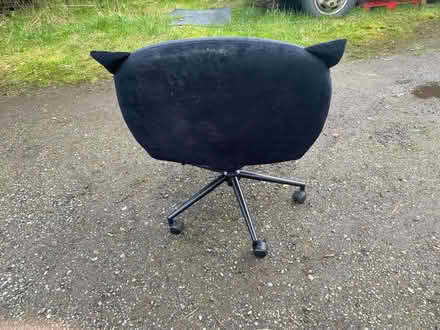 Photo of free Cat chair (Golborne) #3