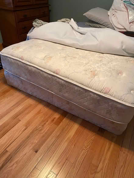 Photo of free Queen mattress and box spring (Easthampton) #1