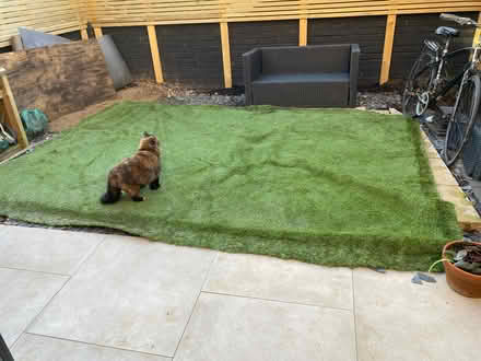 Photo of free Astro turf and underlay matting (Seven Dials BN3) #1