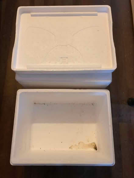 Photo of free Polystyrene box x 2 (Liphook GU30) #2