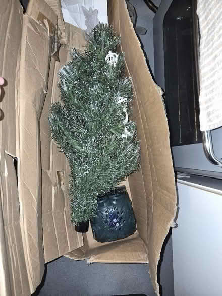 Photo of free Fibre Optic Frosted Xmas Tree (Old Farm Park MK7) #1