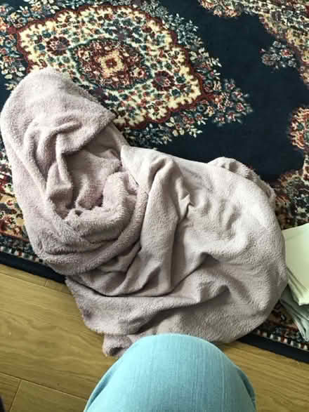 Photo of free Fleece bed sheet (double) (Roehampton SW15) #1