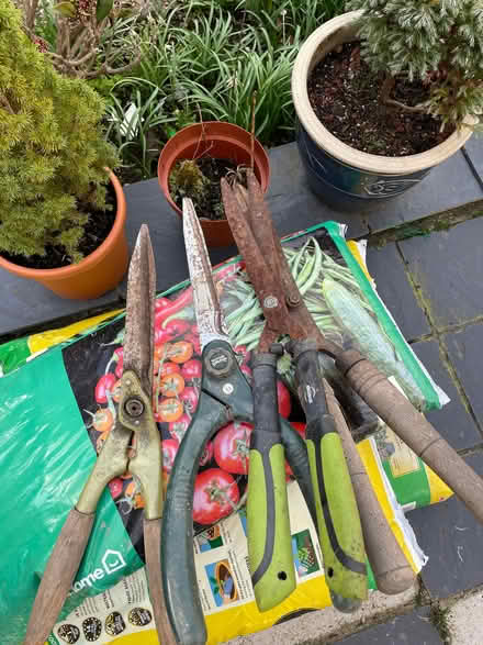 Photo of free Garden clippers (Lodgevale Estate LL14) #1