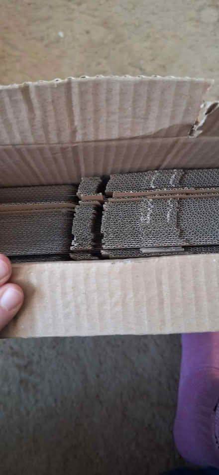 Photo of free Small cardboard packages (BH11 9) #4
